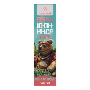 Einweg Vape Big Bad Bear 95