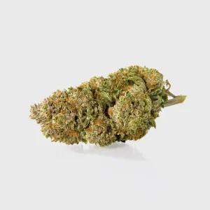 CBG by Marvin Game 5G
